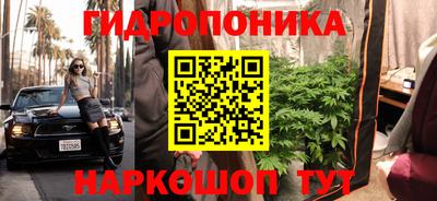 прущие крисы Гусев