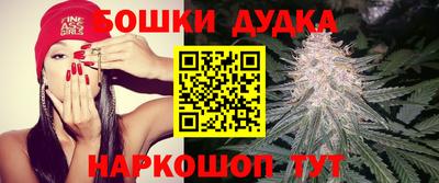 прущие крисы Гусев