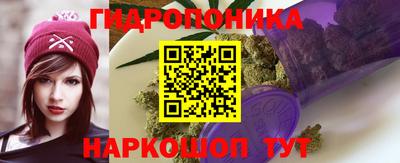 ПСИЛОЦИБИНОВЫЕ ГРИБЫ Гусь-Хрустальный