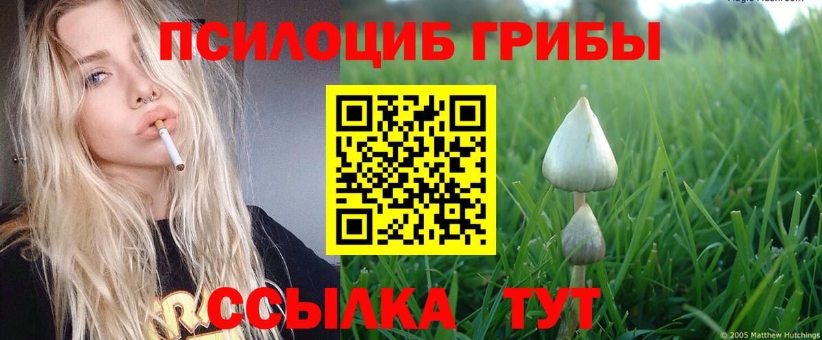 Псилоцибиновые грибы Cubensis  Псилоцибиновые грибы MAGIC MUSHROOMS  Вход с VPN  Балашов 