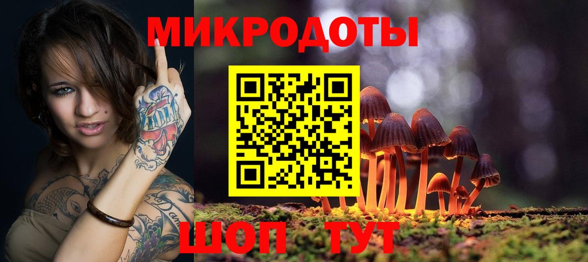 Галлюциногенные грибы Cubensis Балашов